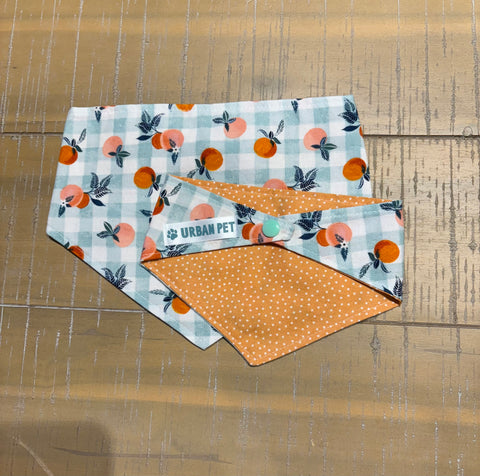 Urban Pet Bandanas Extra Small (XS)