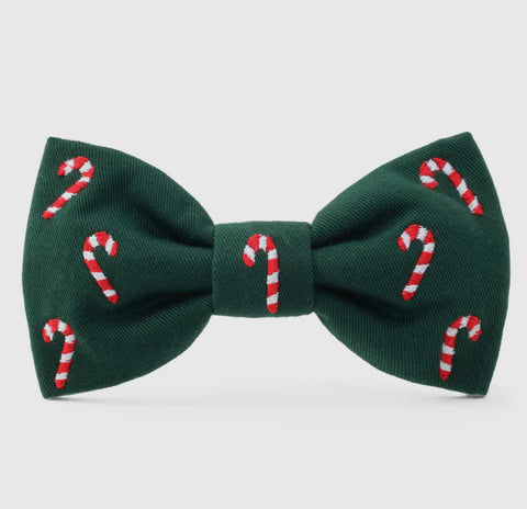 The Foggy Dog Holiday Collar Accessories