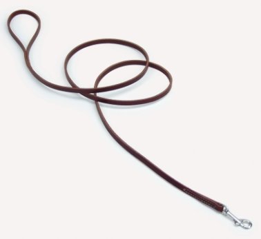 Leather Leash