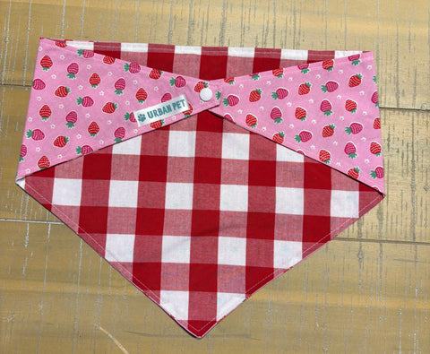 Urban Pet Bandanas Large