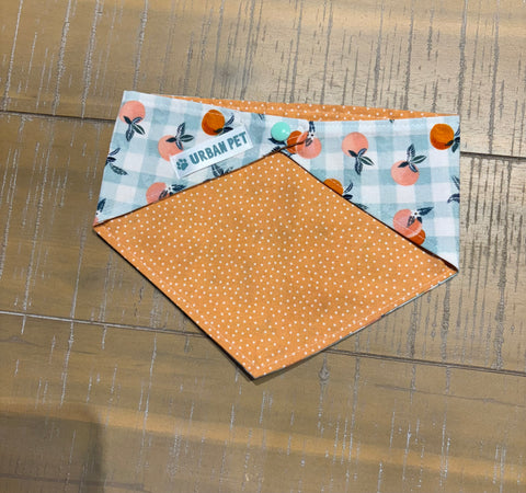 Urban Pet Bandanas Small