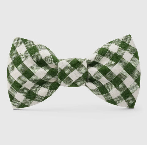 The Foggy Dog Bow Tie
