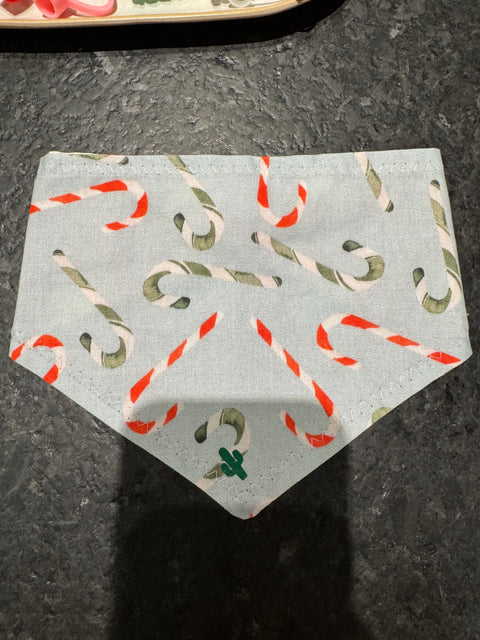 Prickly Pup Bandanas