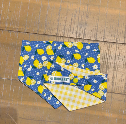 Urban Pet Bandanas Extra Small (XS)