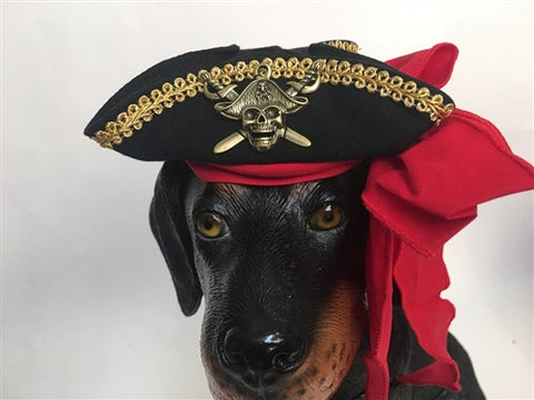 Pirate Costume Hat