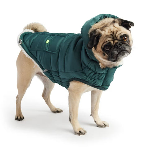 GF Pet Super Puff Parka, Teal