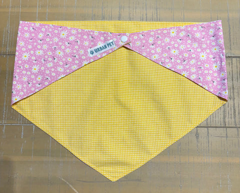 Urban Pet Bandanas Extra Large (XL)