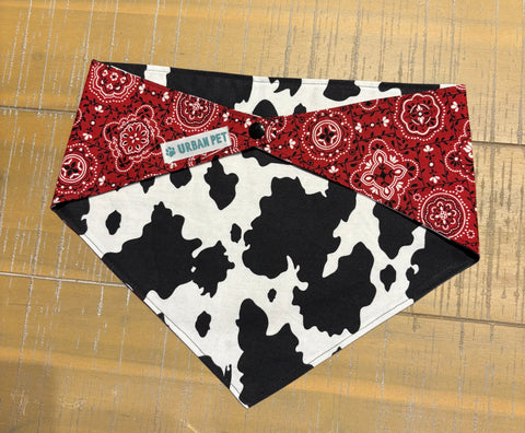 Urban Pet Bandanas Large