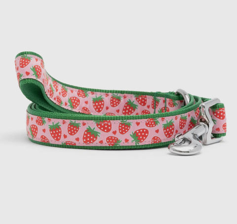 The Worthy Dog Lead