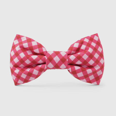 The Foggy Dog Bow Tie