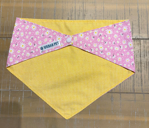 Urban Pet Bandanas Large