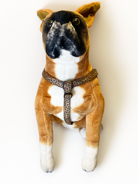 Gold Paw Step-In Hybrid Harness