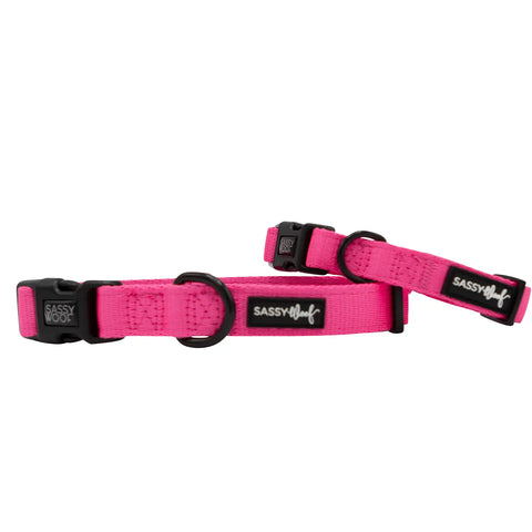 Sassy Woof Neon Fabric Collar