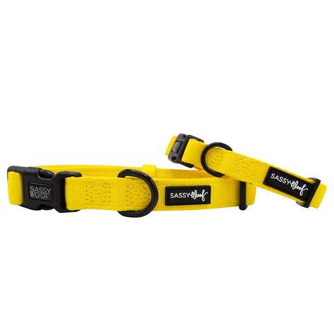 Sassy Woof Neon Fabric Collar