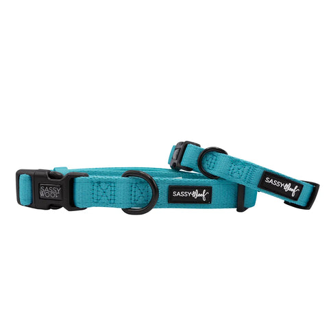Sassy Woof Neon Fabric Collar
