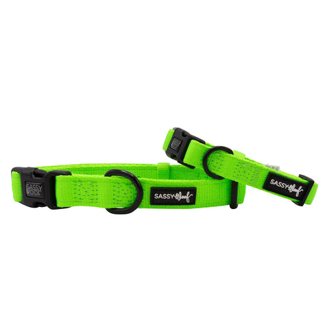 Sassy Woof Neon Fabric Collar