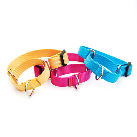Nylon Martingale Loop Dolphin Blue Collar