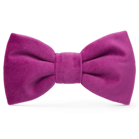 The Foggy Dog Bow Tie