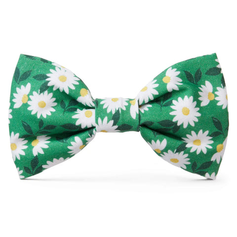 The Foggy Dog Bow Tie