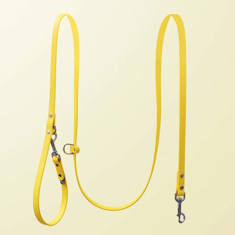 Mimi Green Hands Free Dog Leash
