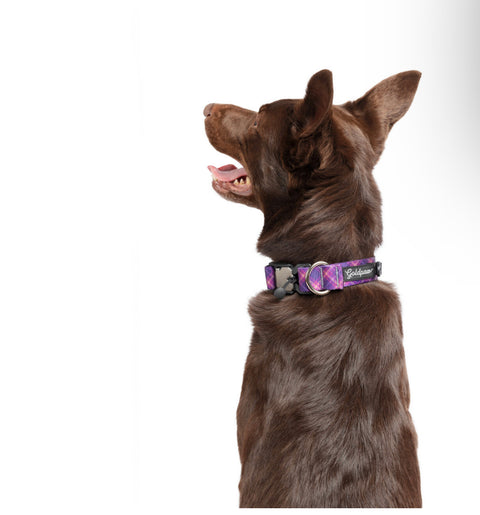 Gold Paw Swift Lock Collar