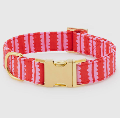 Foggy Dog Collar