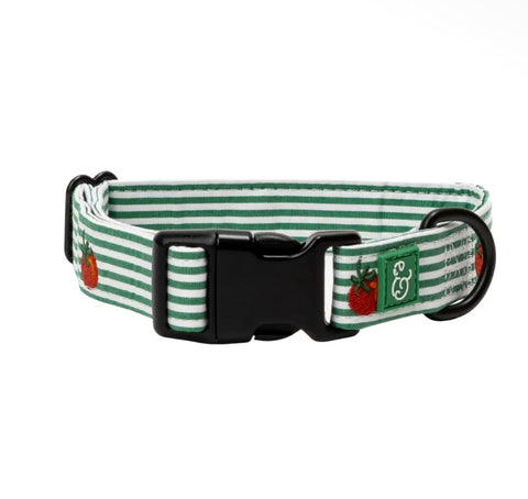 Dog Collars