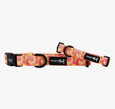 Sassy Woof Fabric Collar