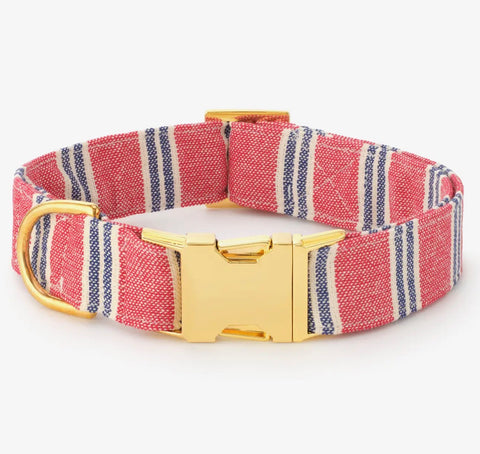 Foggy Dog Collar