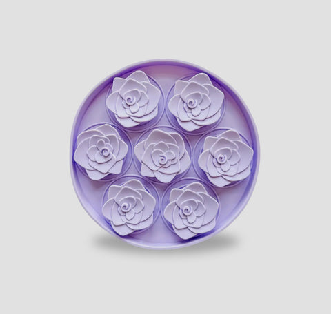 Slow Feeder Bowls