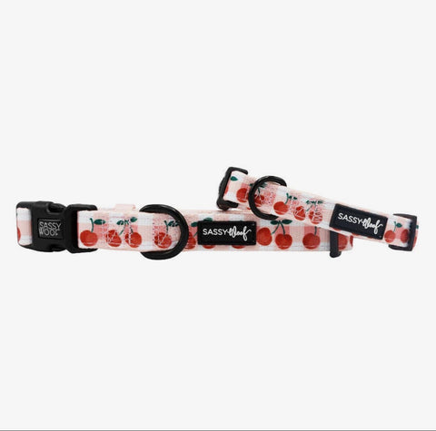 Sassy Woof Fabric Collar