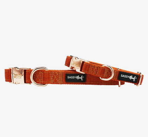 Sassy Woof Fabric Collar