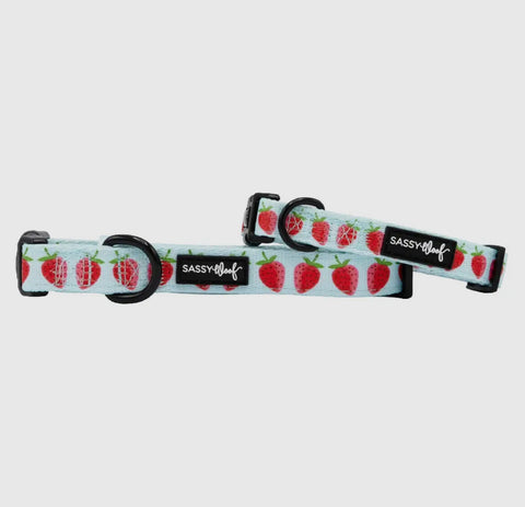 Sassy Woof Fabric Collar