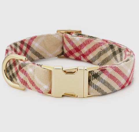 Foggy Dog Holiday Collar