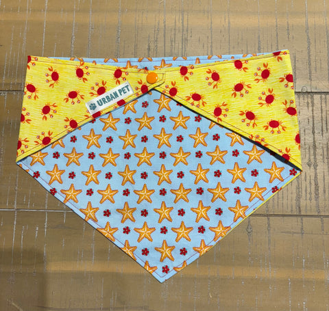 Urban Pet Bandanas Medium