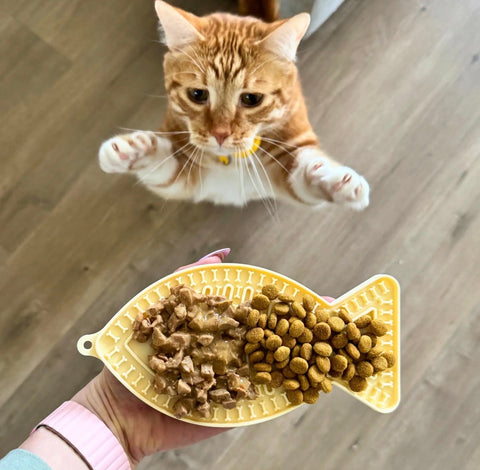 Lick Mats