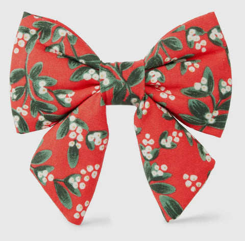 The Foggy Dog Holiday Collar Accessories