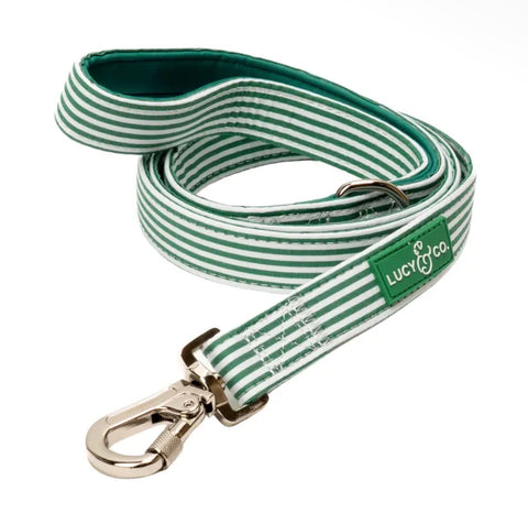Dog Leashes