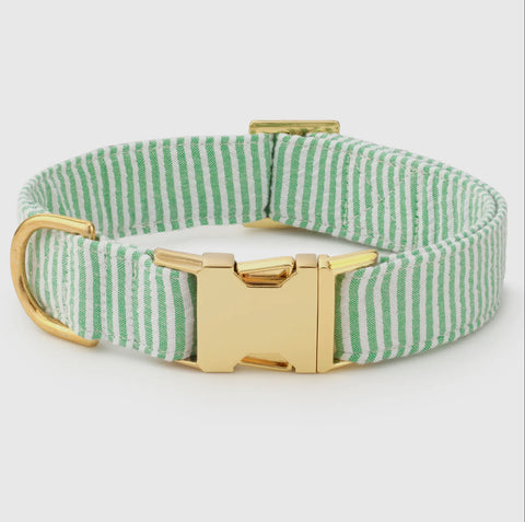 Foggy Dog Collar