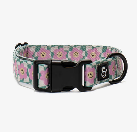 Dog Collars