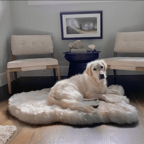 Faux Fur Orthopedic Curved Dog Bed