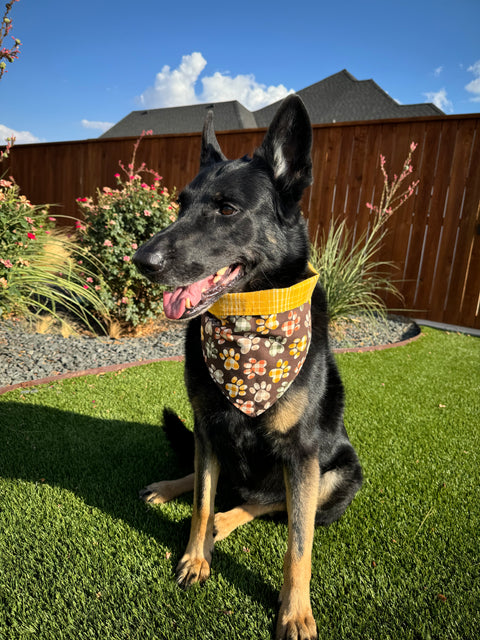 Urban Pet Bandanas