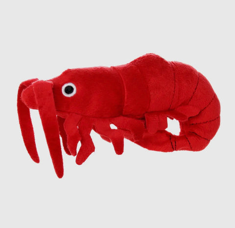 Tuffy Mighty Toys