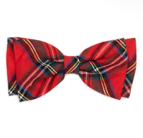 Collar Bows & Accessories