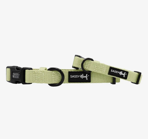 Sassy Woof Fabric Collar