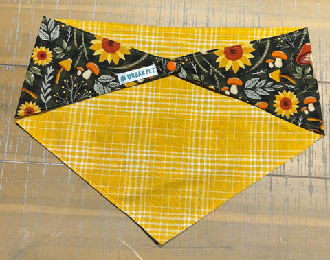 Urban Pet Bandanas Large