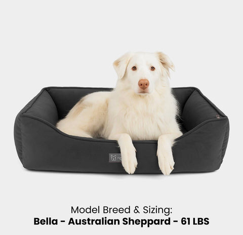 NanDog Bed