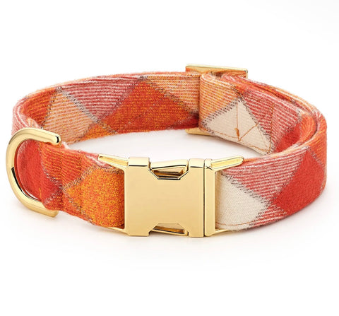 Foggy Dog Holiday Collar