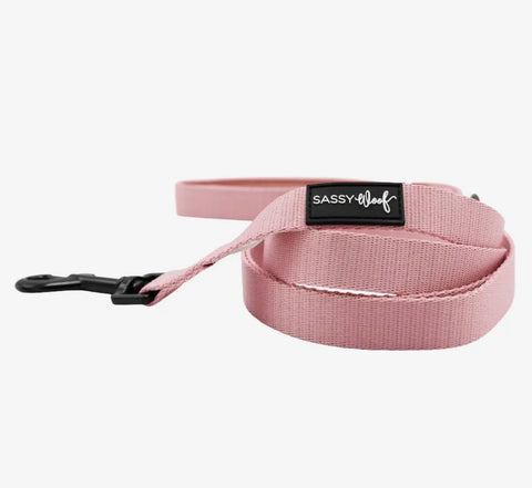 Sassy Woof Fabric Leash