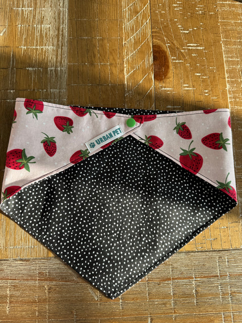 Urban Pet Bandanas Medium